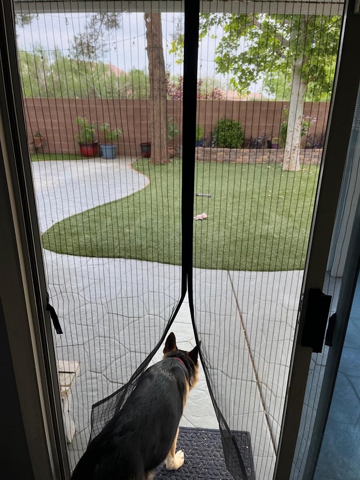 Dog exiting through middle of magnetic screen door