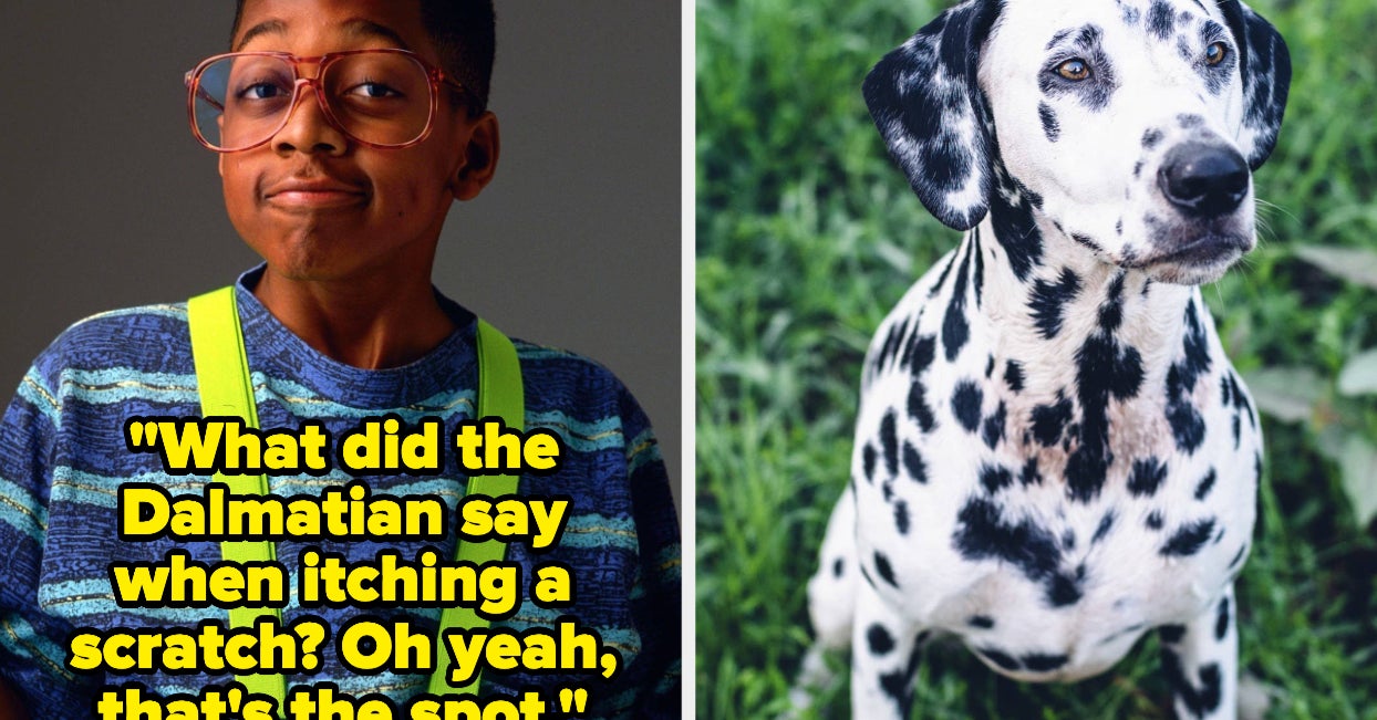 19 Funniest Dad Jokes Of All Time