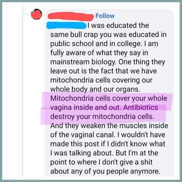 &quot;Mitochondria cells cover your whole vagina inside and out. Antibiotics destroy your mitochondria cells.&quot;