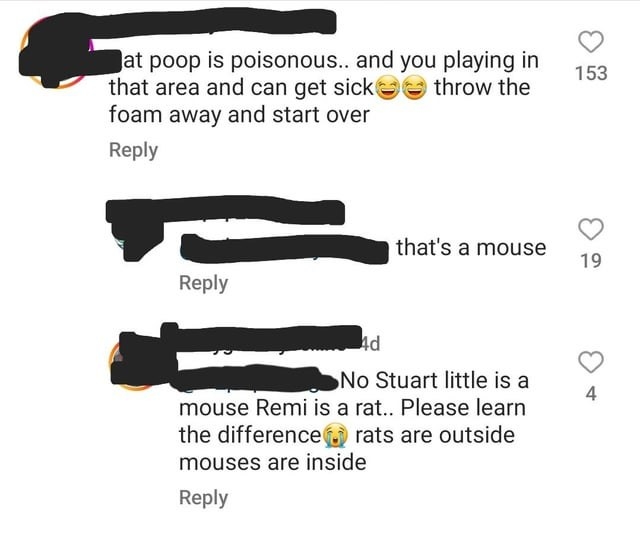 &quot;rates are outside mouses are inside&quot;