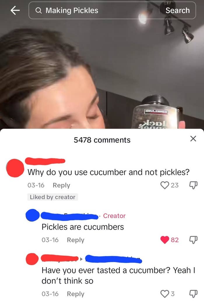 &quot;Have you ever tasted a cucumber? Yeah, I don&#x27;t think so&quot;