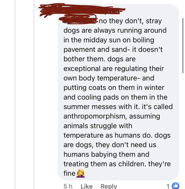 &quot;dogs are dogs, they don&#x27;t need us humans babying them and treating them as children. they&#x27;re fine&quot;
