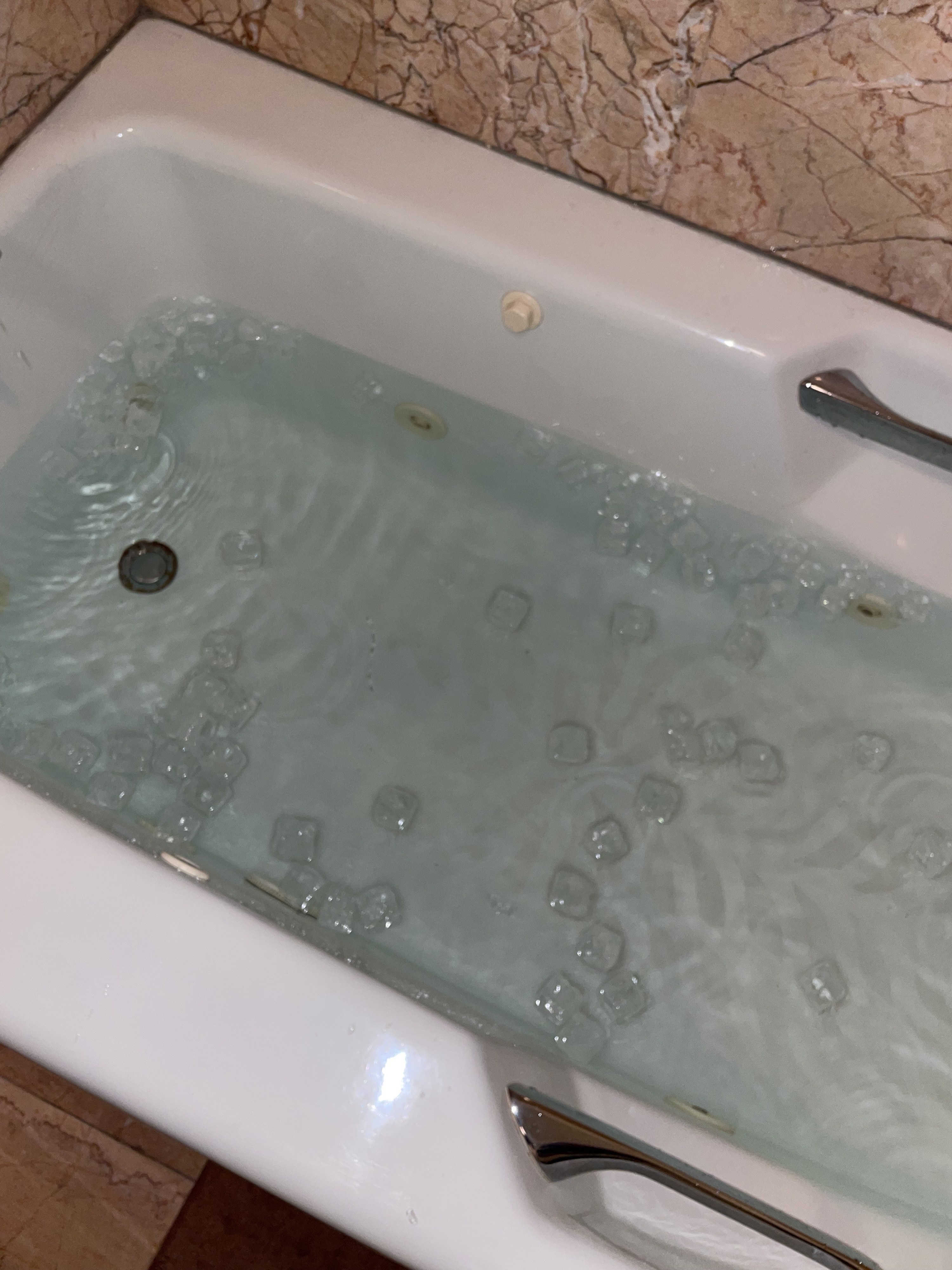 Lara&#x27;s tub with ice in it