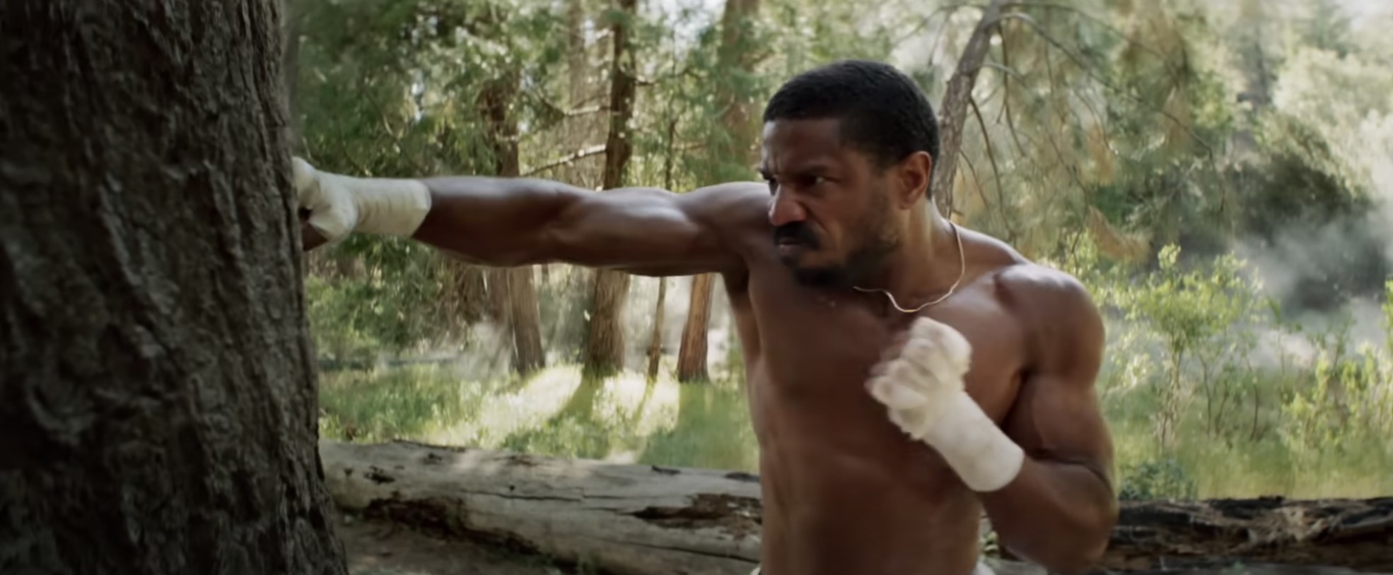 Adonis Creed punches a tree