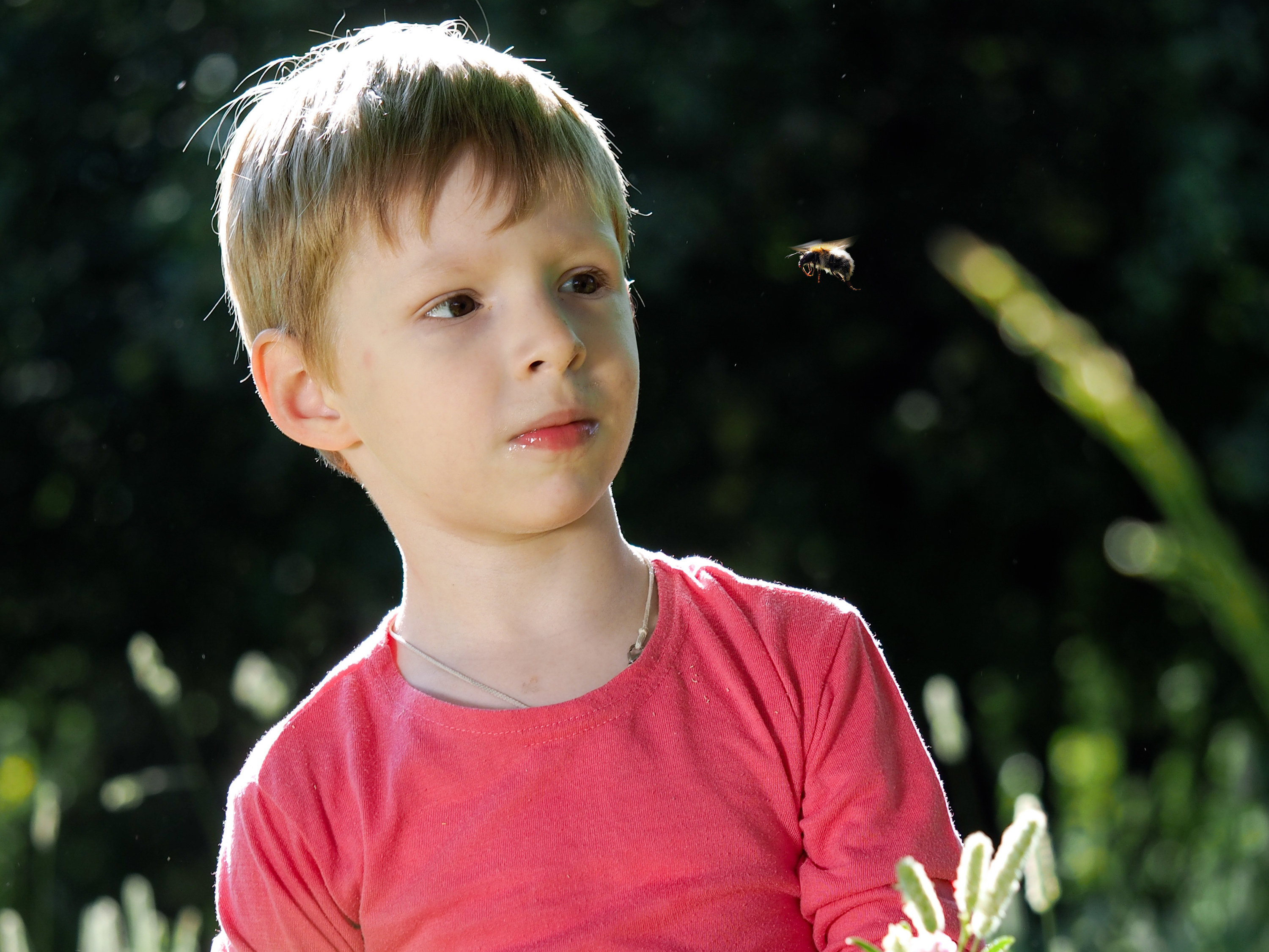 Closeup of a boy looking at a bee that&#x27;s flying toward him