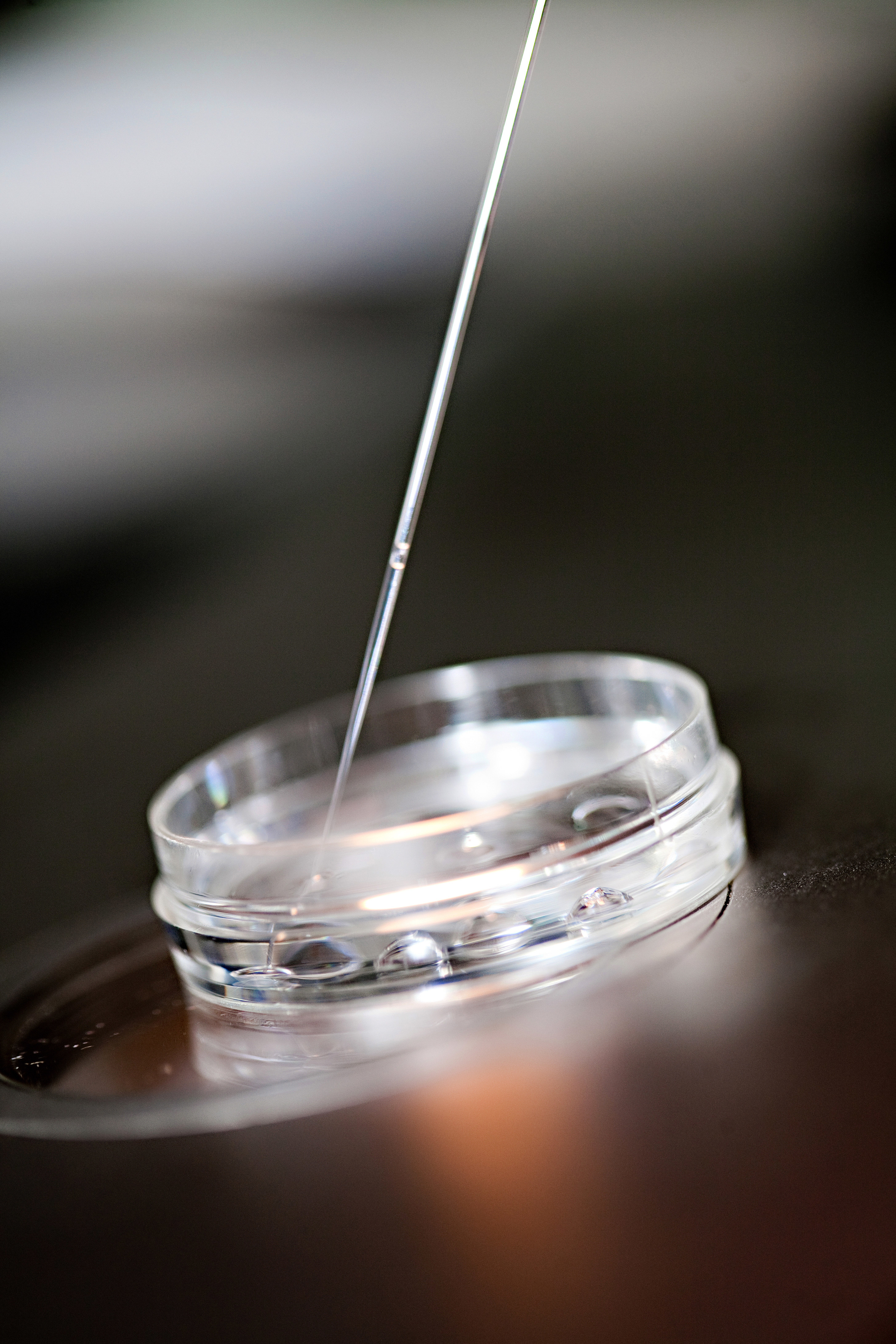 High tech lab equipment used in the in vitro fertilization process