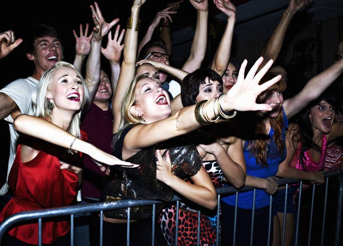 fans have fun at a concert