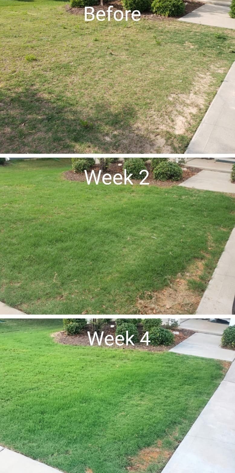 Reviewer&#x27;s photo of lawn growing.