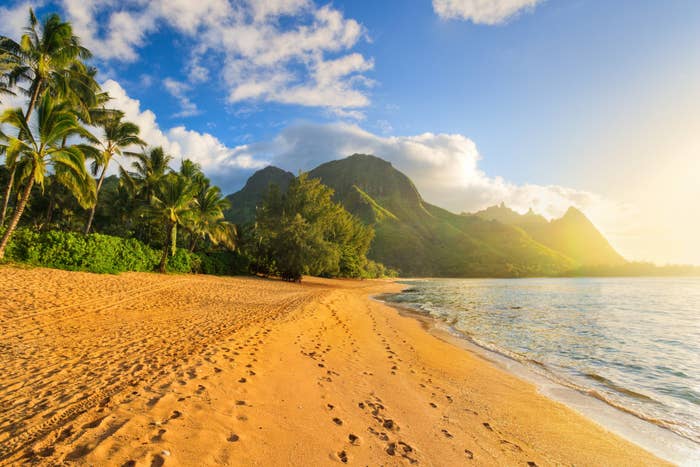 Tropical beach with palm trees at sunset in Hawaii.