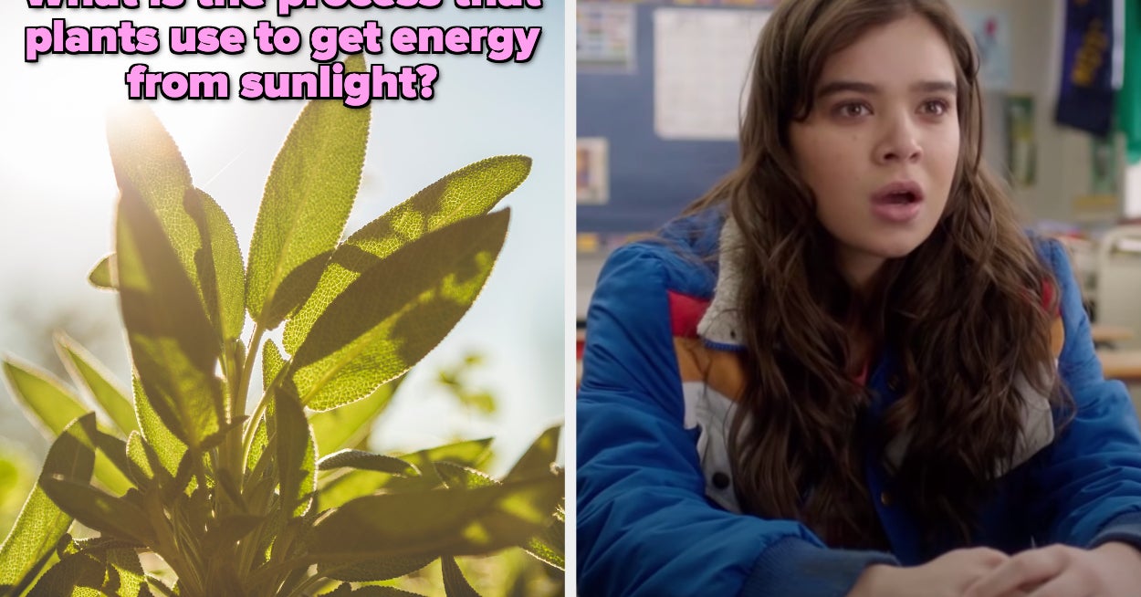 Biology Knowledge Quiz