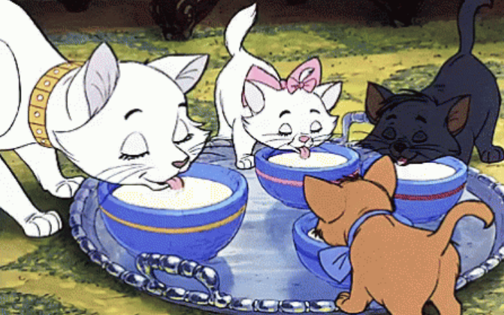 Cartoon cats drinking milk