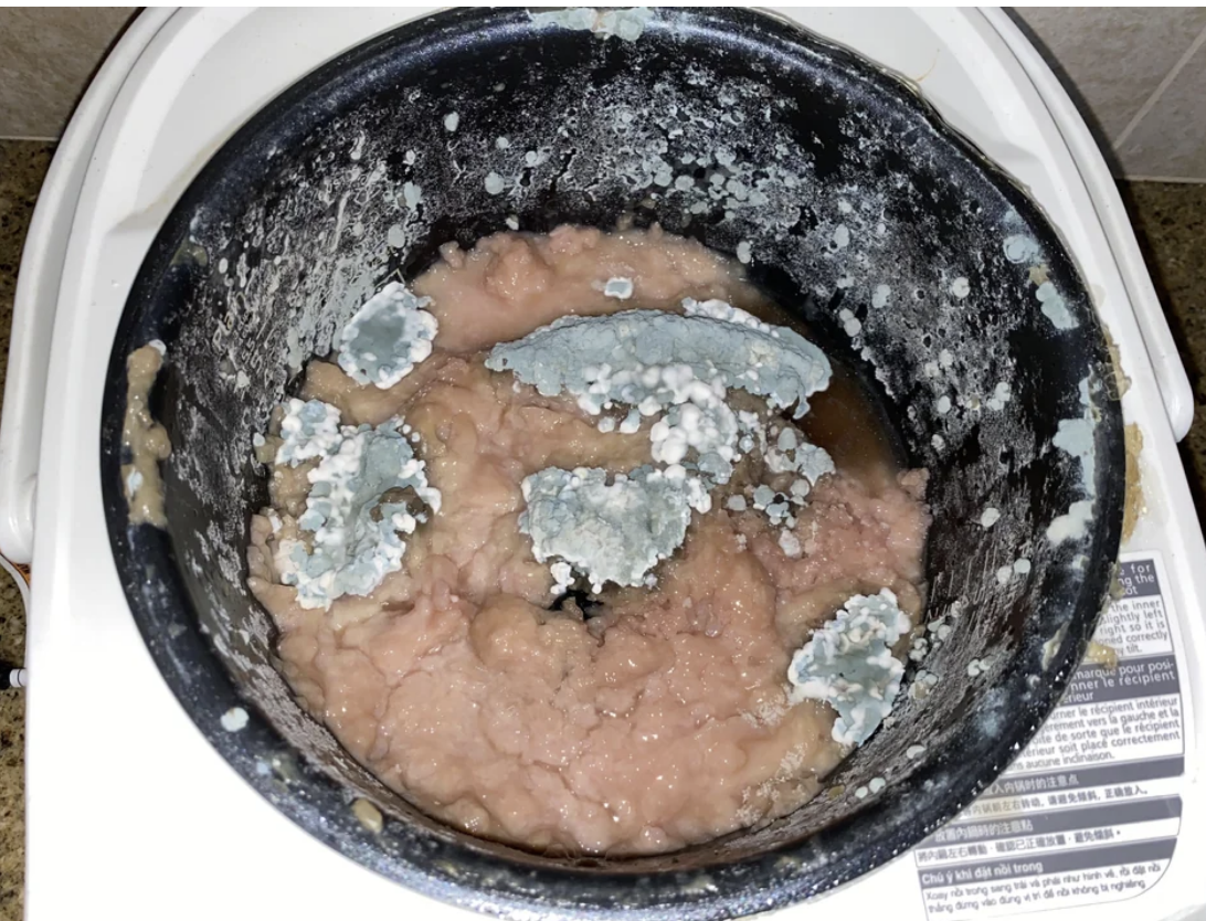 A rice cooker with mold