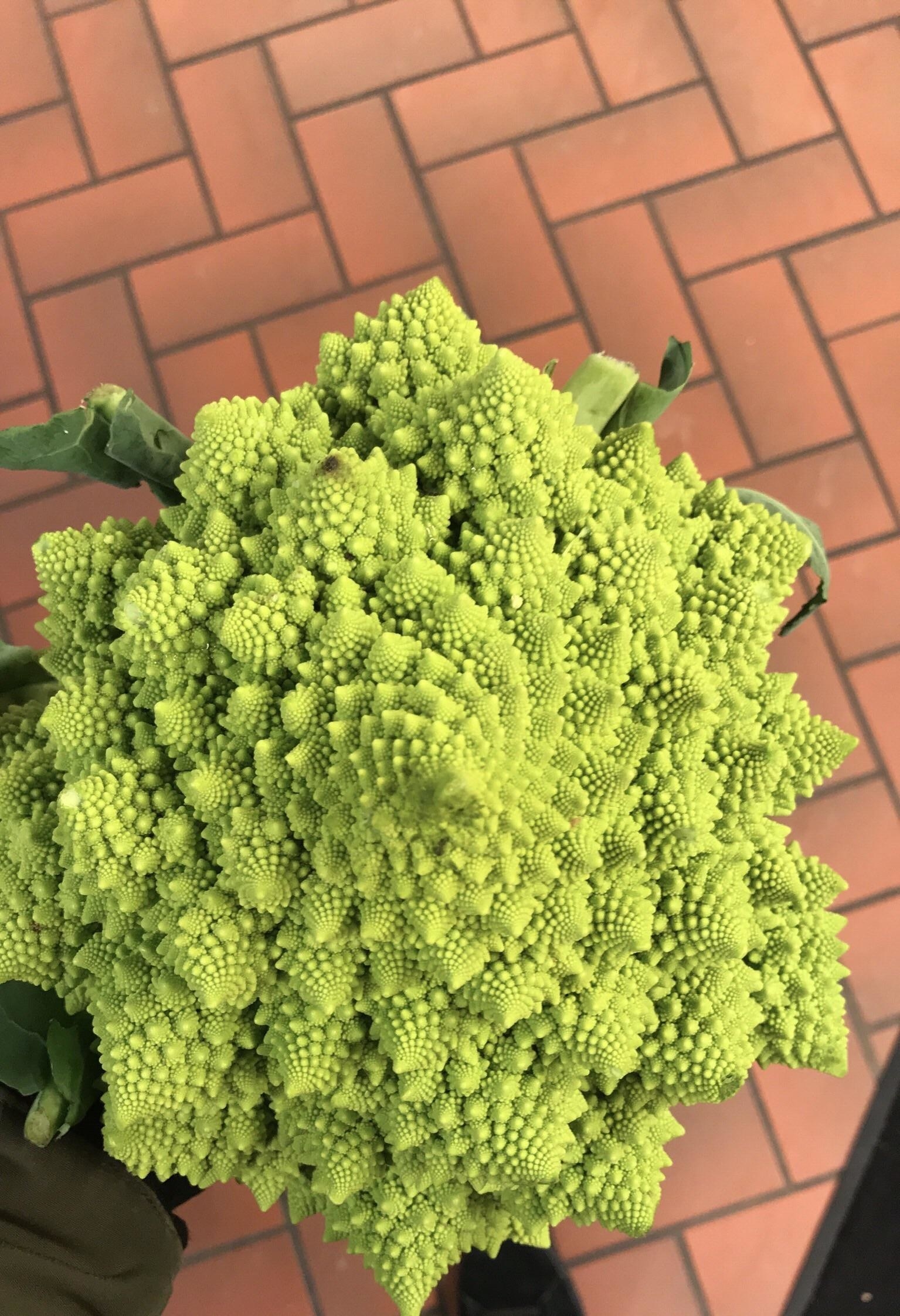 Romanesco broccoli in the shape of the Fibonacci sequence