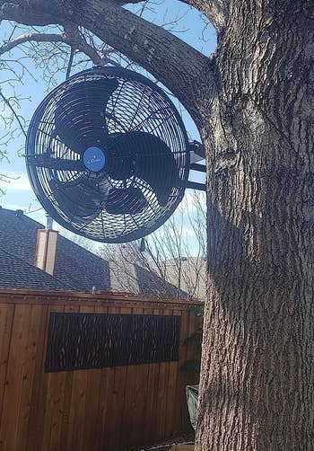 the outdoor fan hung in a tree