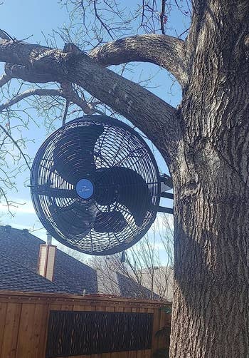 the outdoor fan hung in a tree