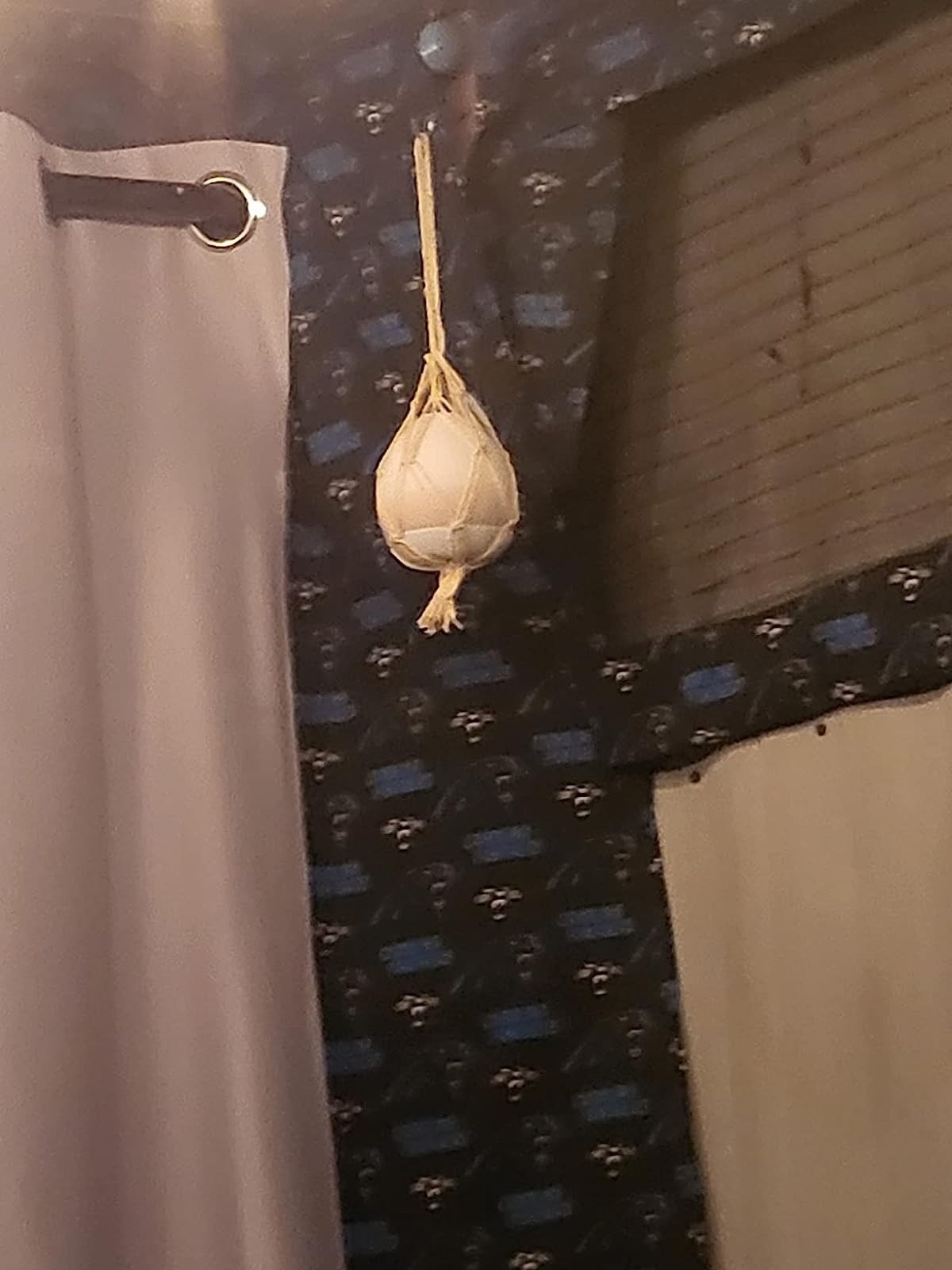 The reviewer&#x27;s photo of the egg hanging from ceiling