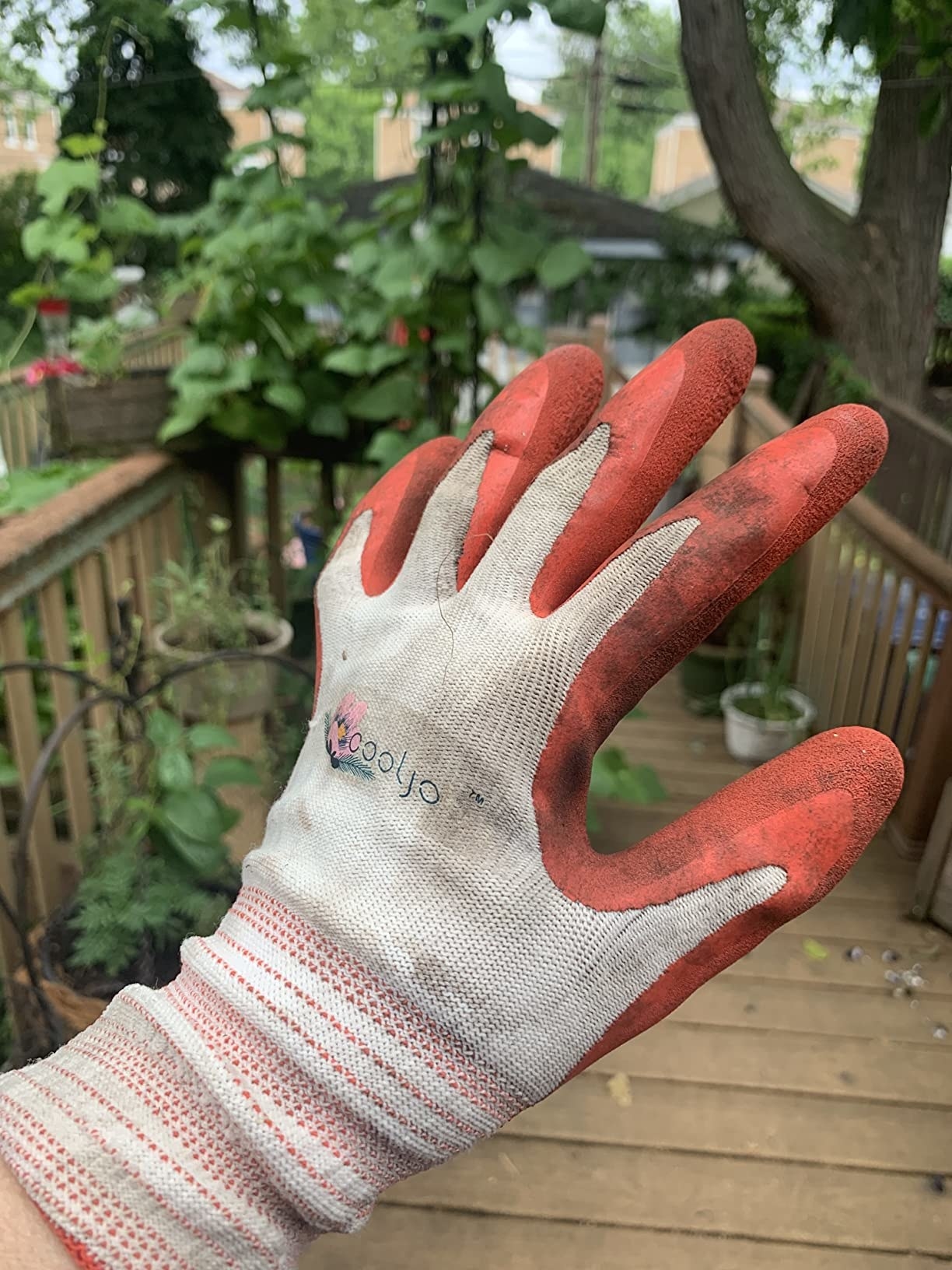 Reviewer wearing the red glove covered in dirt from gardening