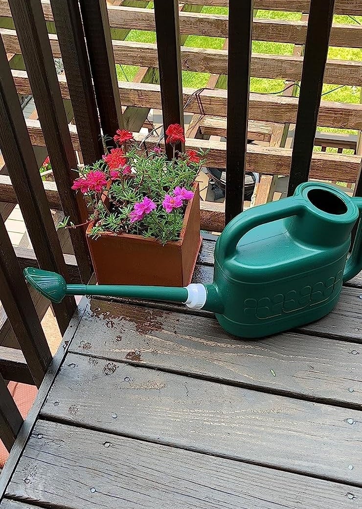 Reviewer's green can on deck next to pot of flowers