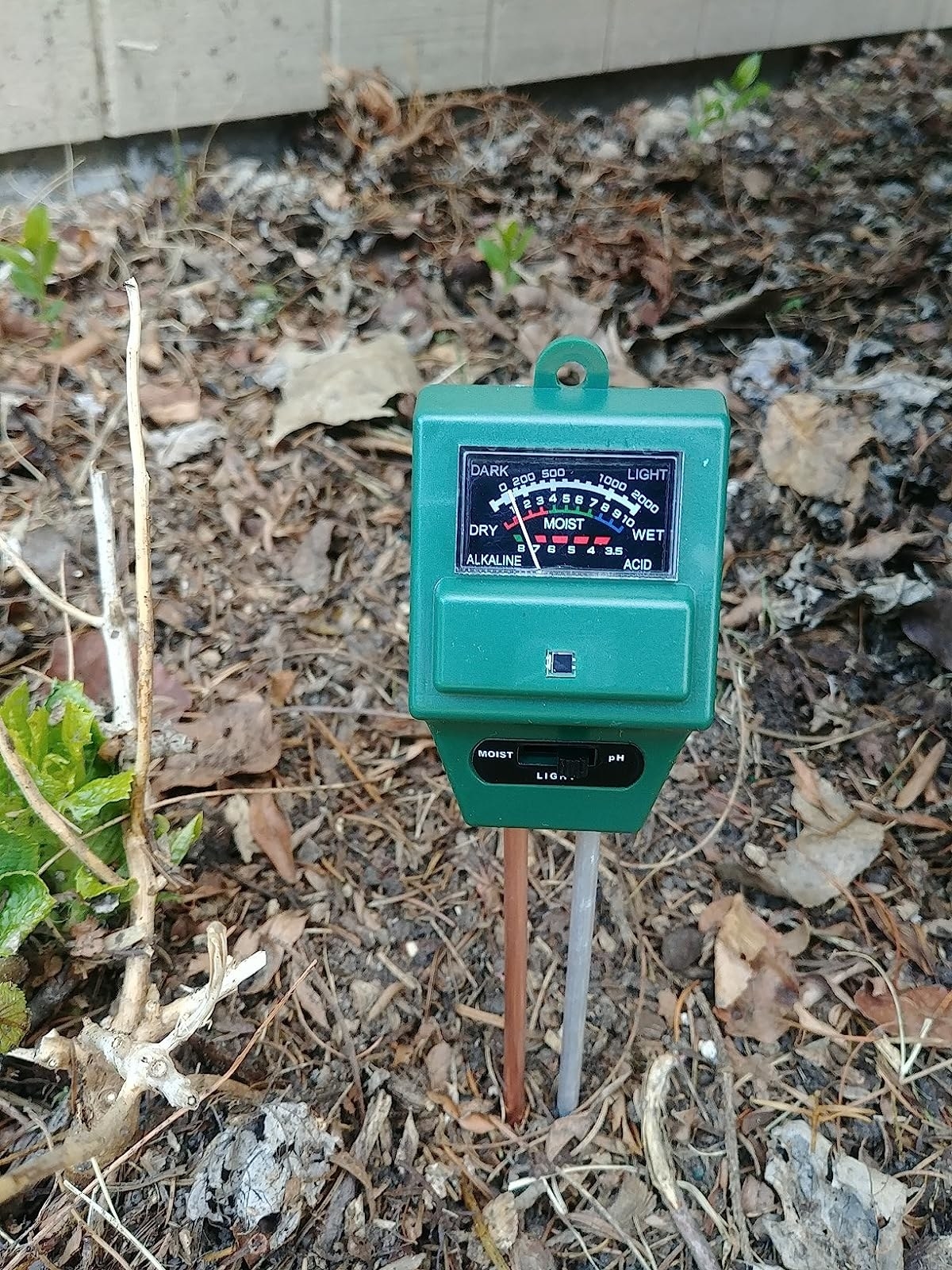 The reviewer's probe in dirt