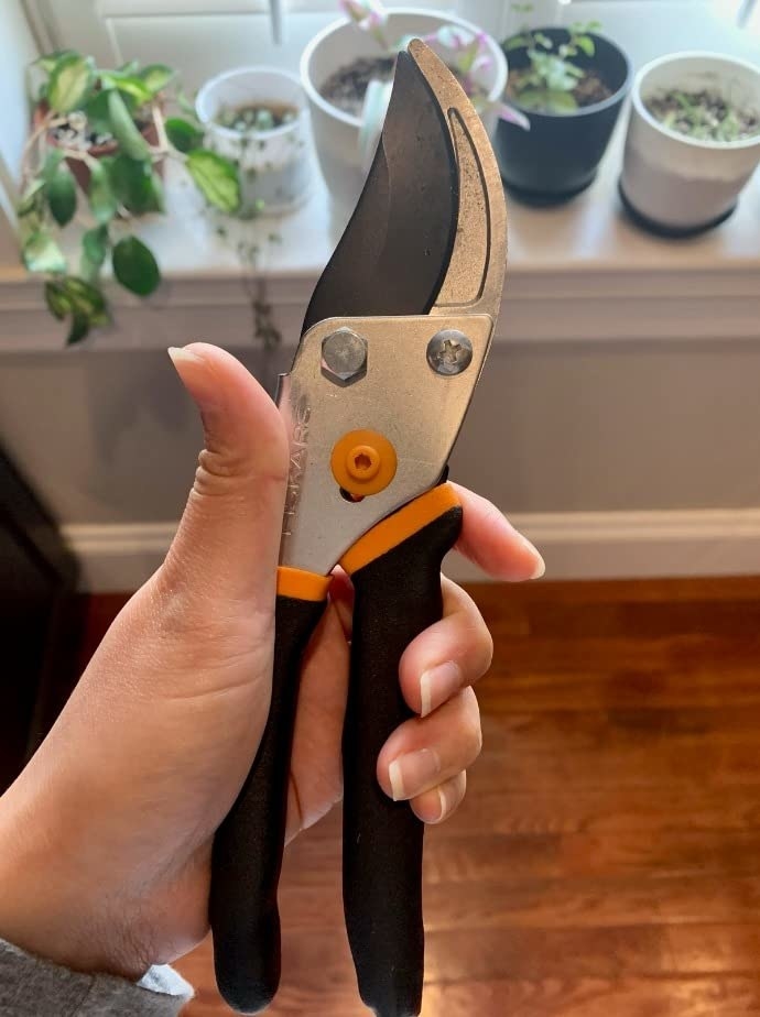 reviewer holding the shears