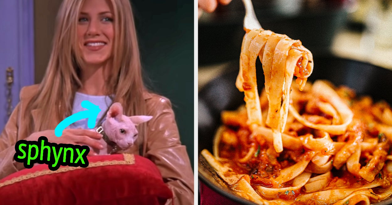 What Kind Of Cat Are You Quiz