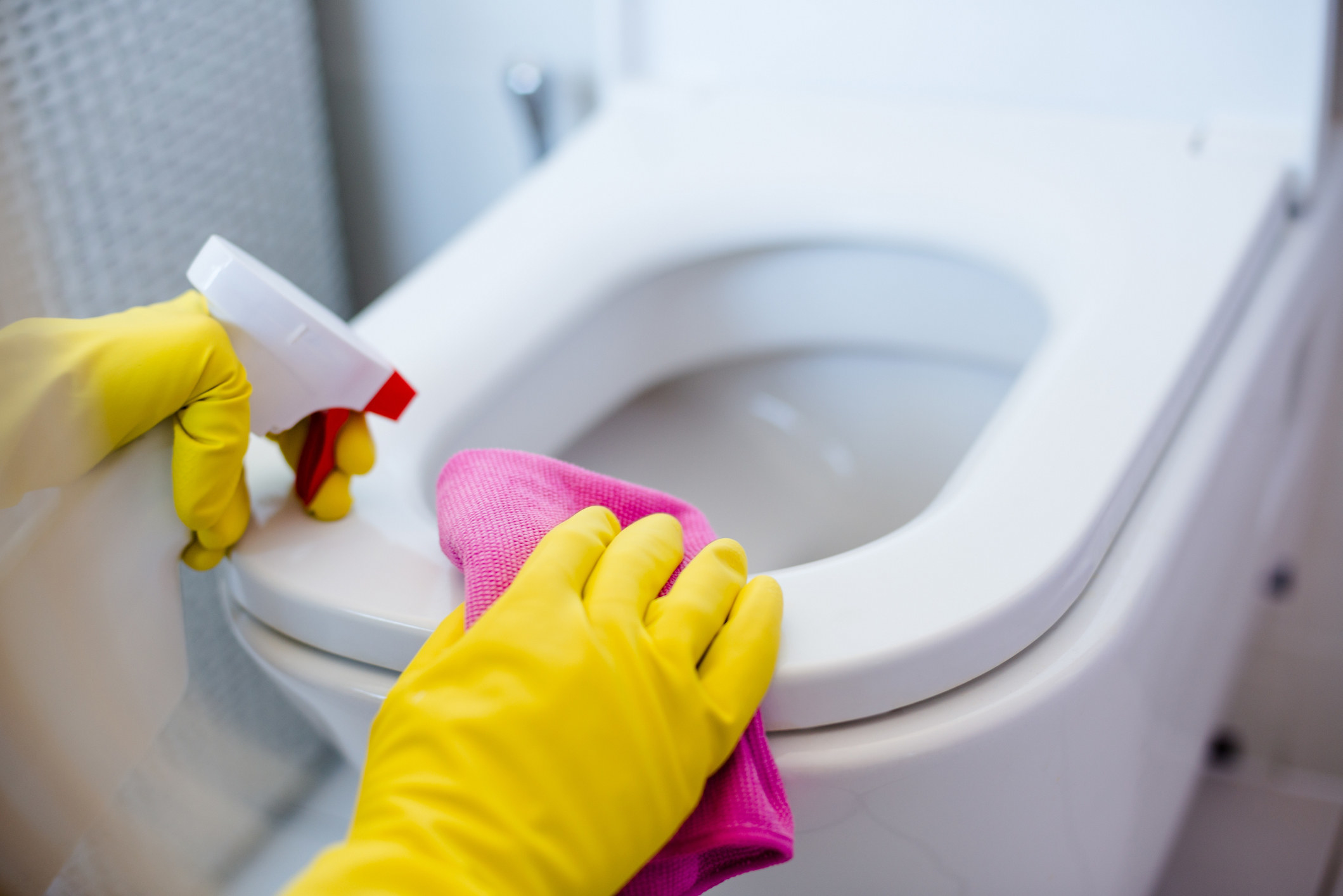 gloved hands cleaning a toilet