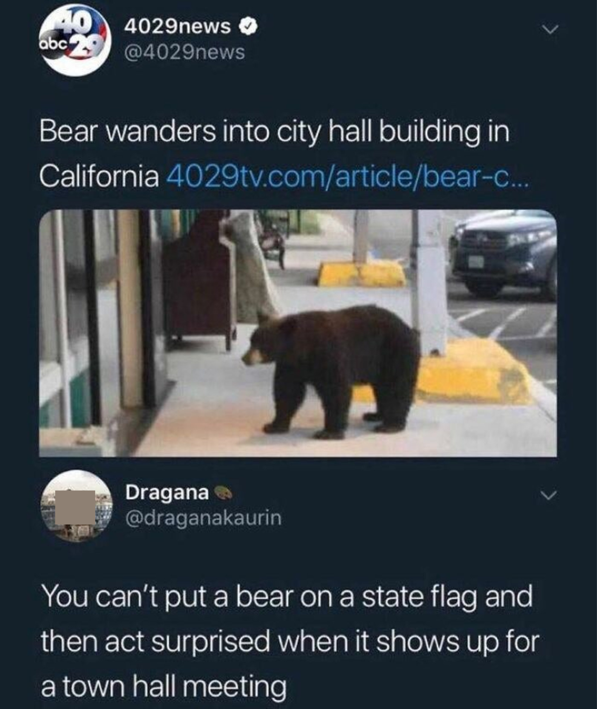 a bear wanders city hall in california and someone says, you can&#x27;t put a bear on a state flag and then act surprised when it shows up for a town meeting