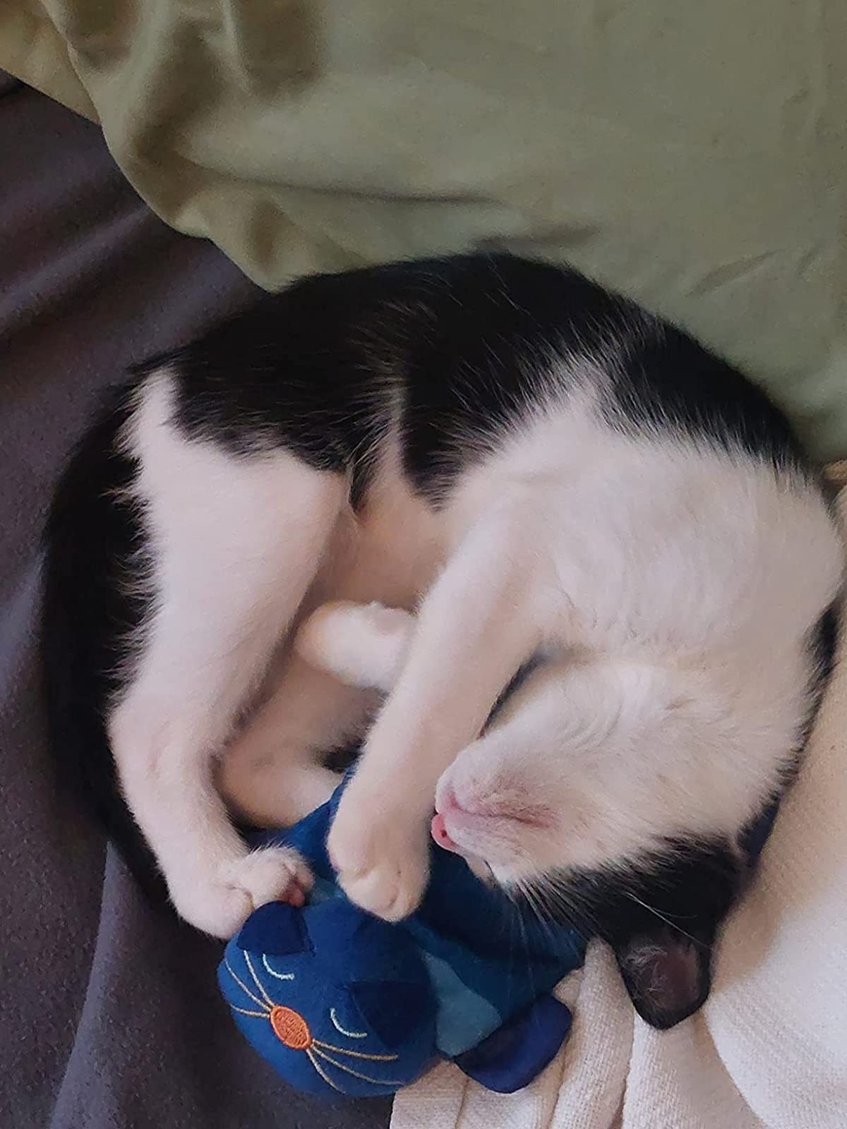 Reviewer&#x27;s photo of a cat snuggling with its toy.