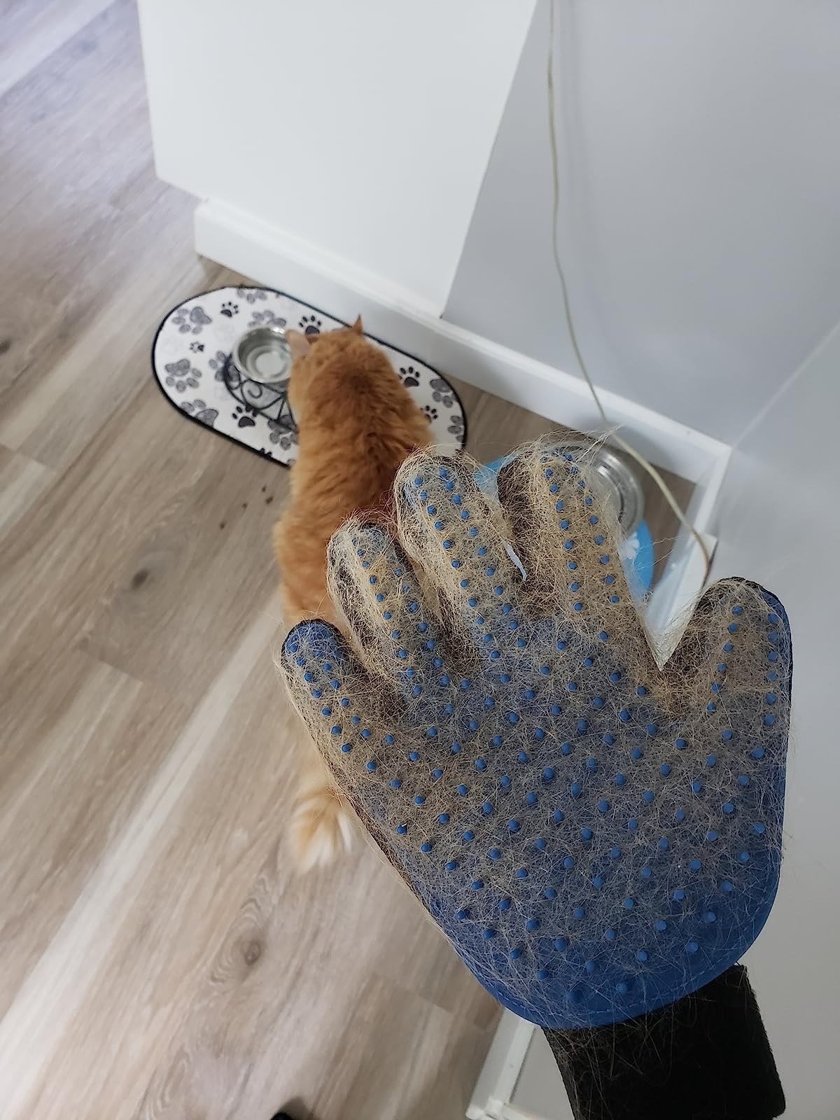 Reviewer&#x27;s photo of a pet grooming glove and their cat.