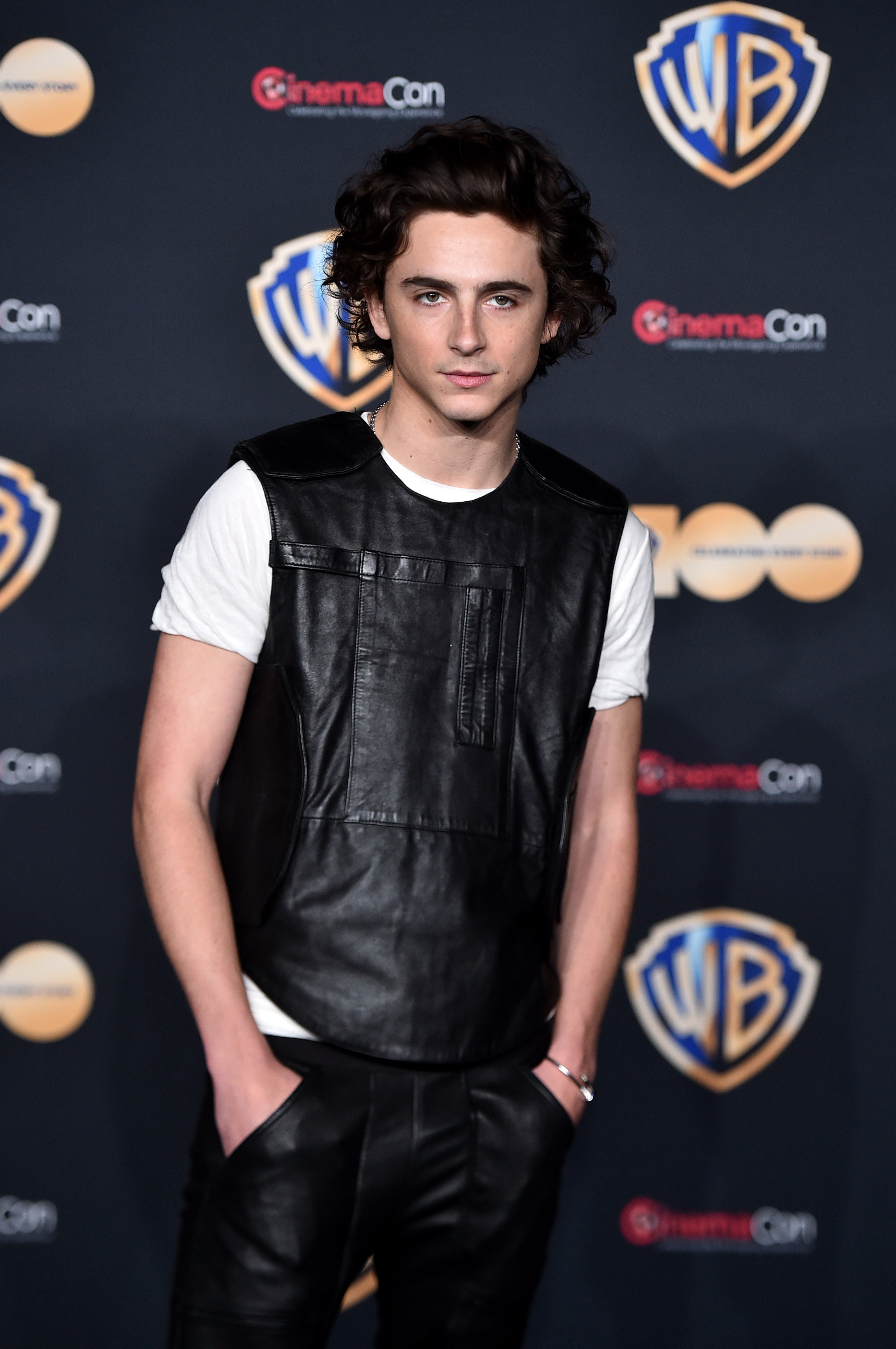 Closeup of Timothée Chalamet