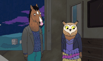 wanda saying you know it&#x27;s funny when you look at someone through rose colored glasses all the red flags just look like flags on bojack horseman