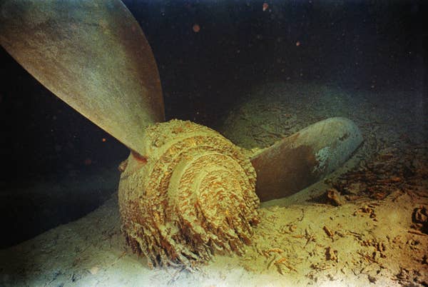 two blades peaking out of the ocean floor