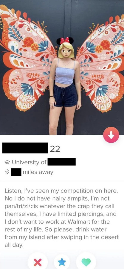 woman&#x27;s dating bio dissing other women