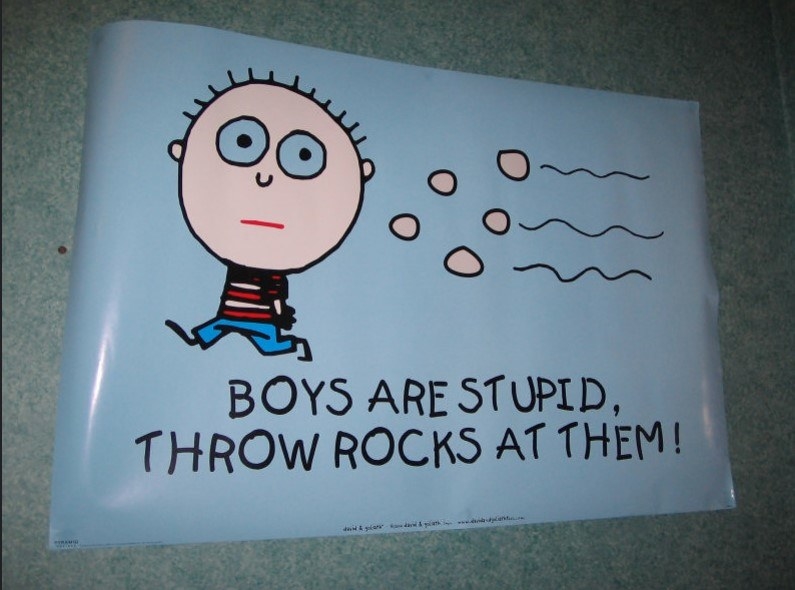 boys are stupid, throw rocks at them magnet