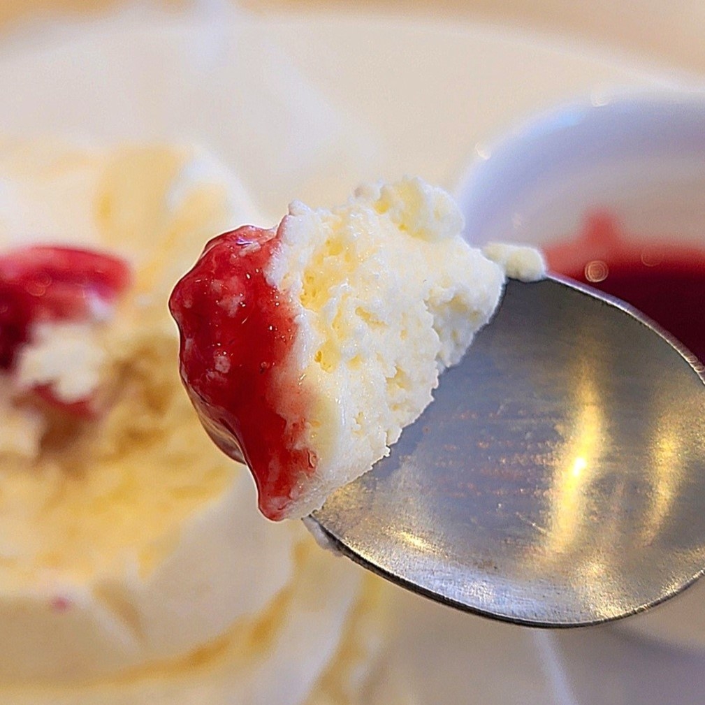 ガストのおすすめスイーツ「豆乳レアチーズケーキ ラズベリーソース」