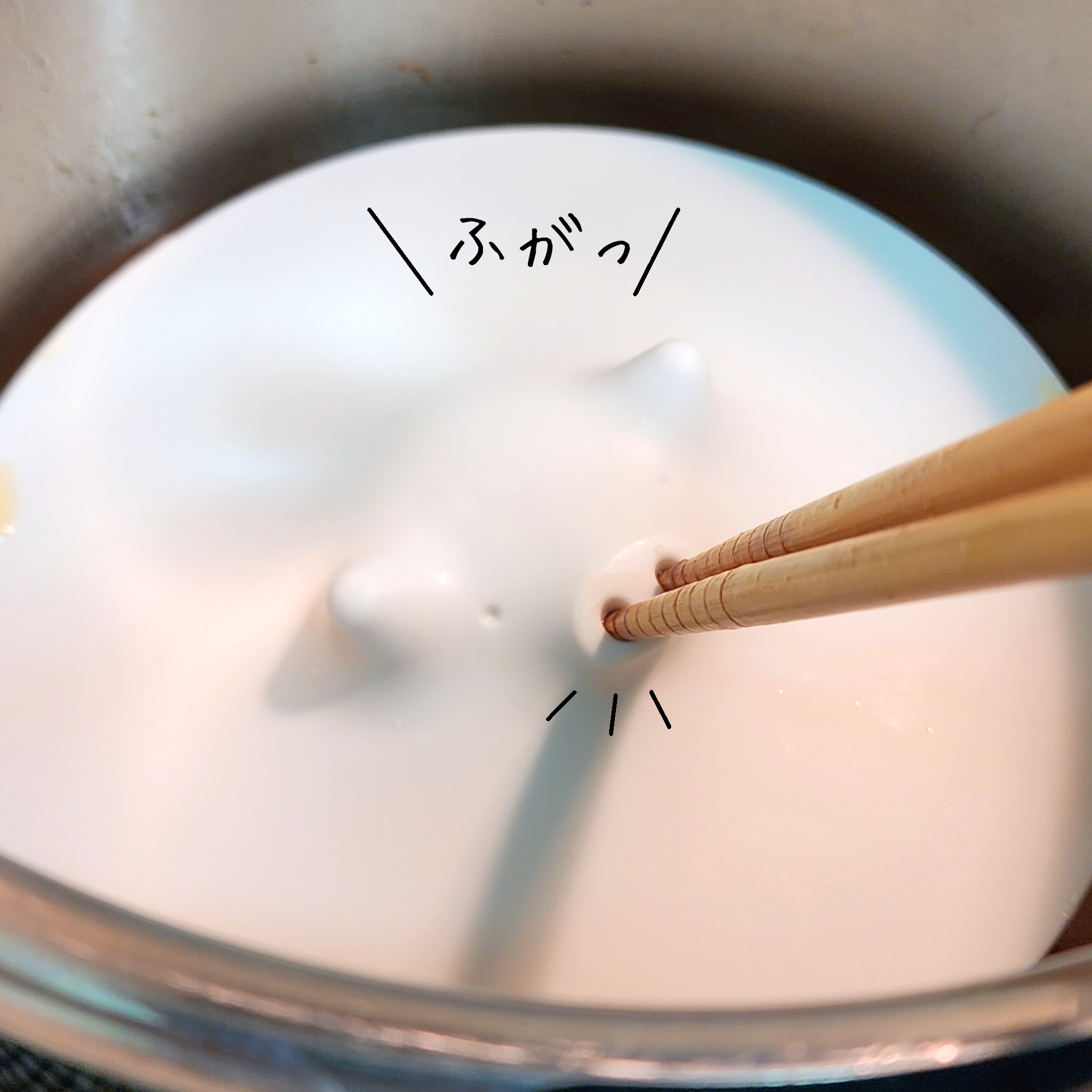 ハンズで見つけたおすすめキッチングッズ「マーナ ぶたの落としぶた」