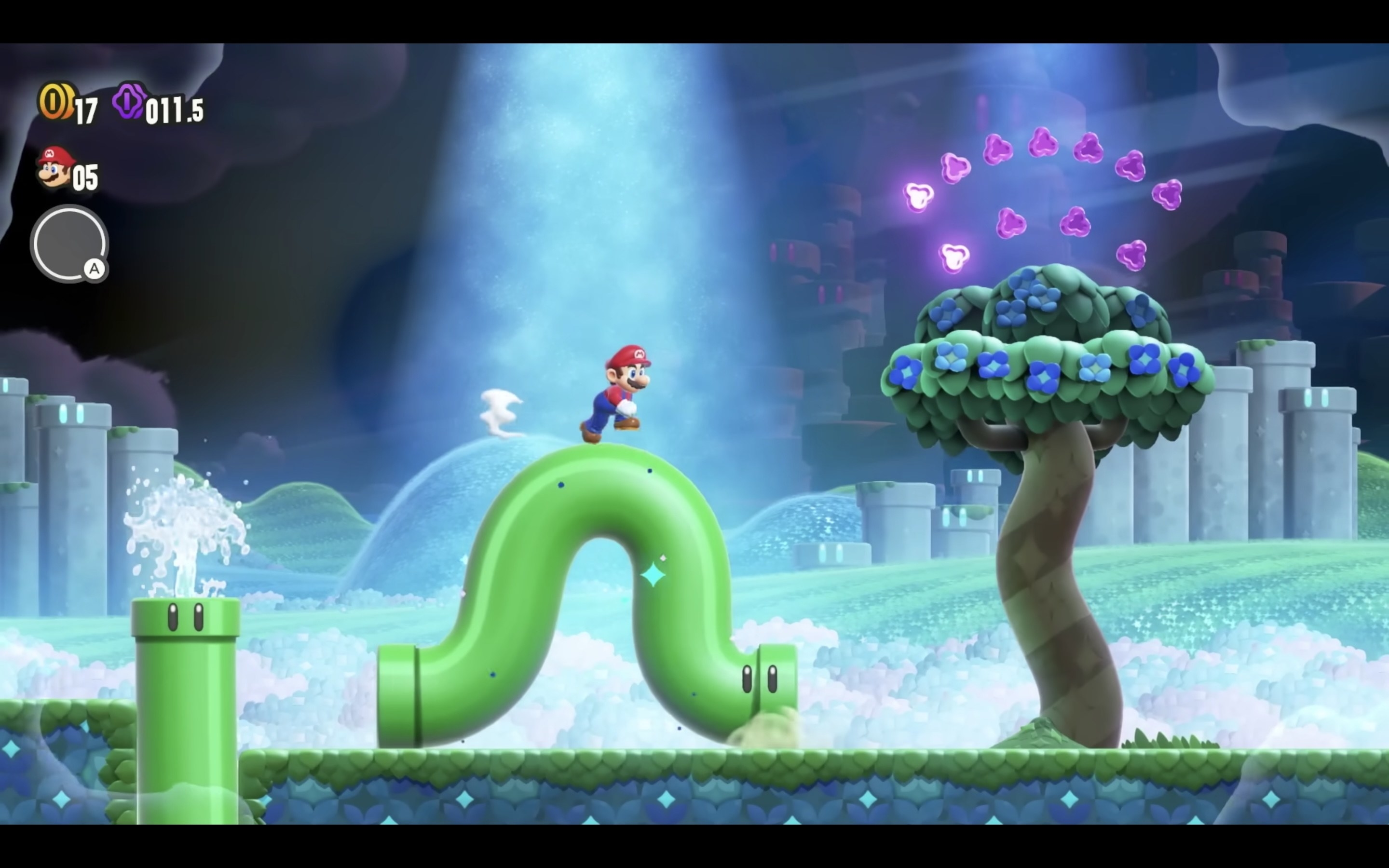 ワンダーフラワーを手に入れたところ