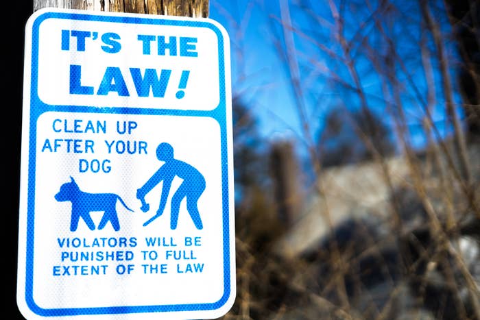 A street sign reminding others to clean up after their dog.  The sign reads, &quot;It&#x27;s the law&quot;