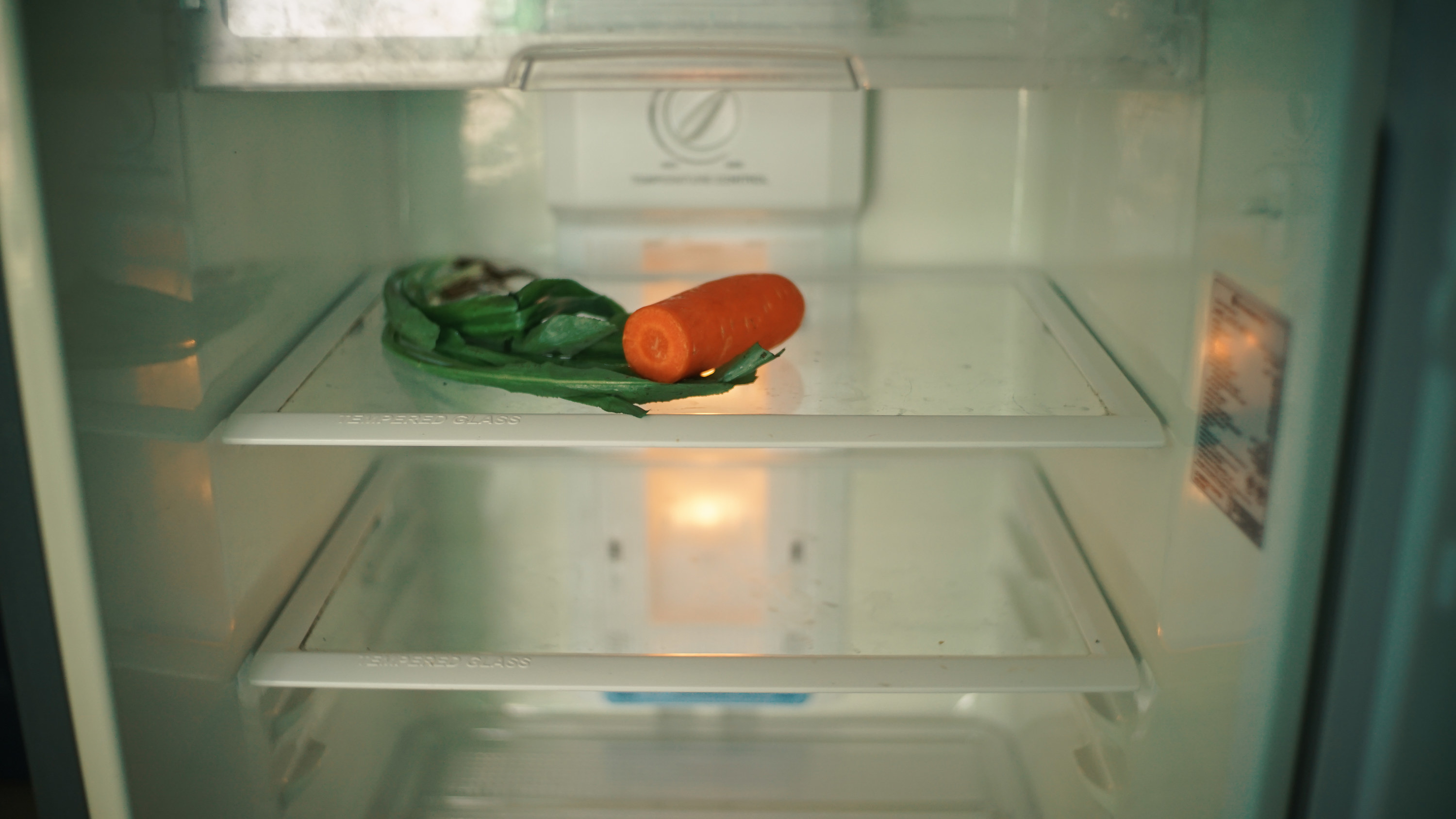 Refrigerator with only a few vegetables left on one shelf