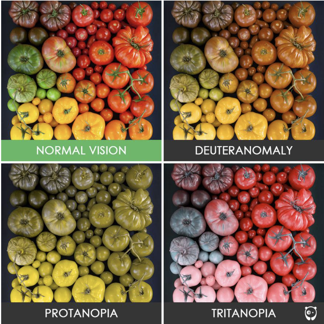 A colorblind chart