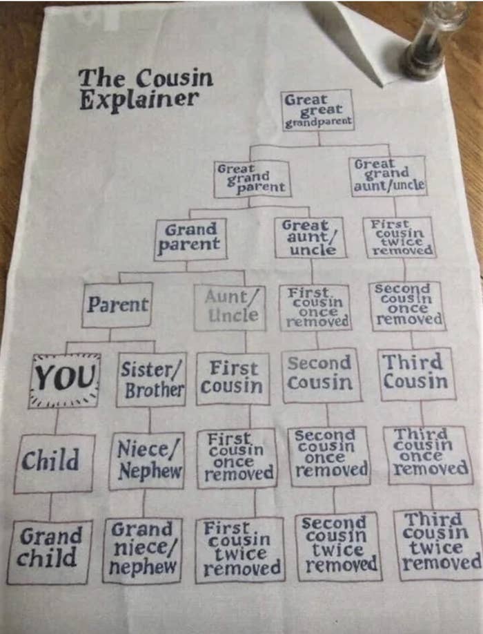 The Cousin Explainer