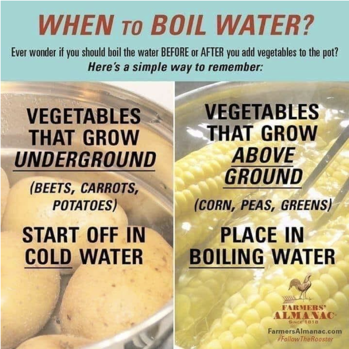 &quot;When to Boil Water&quot;