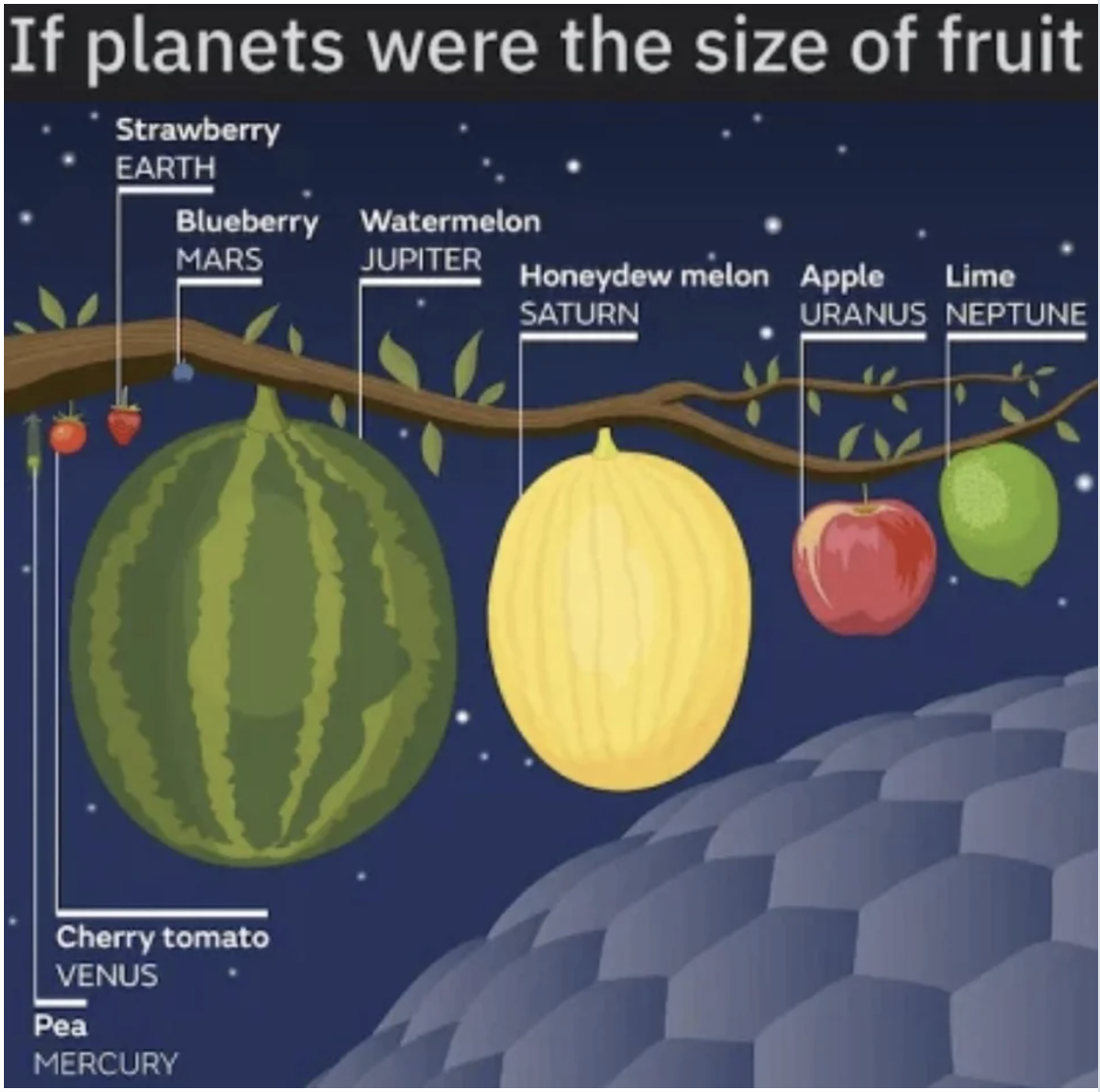A solar system chart with fruit