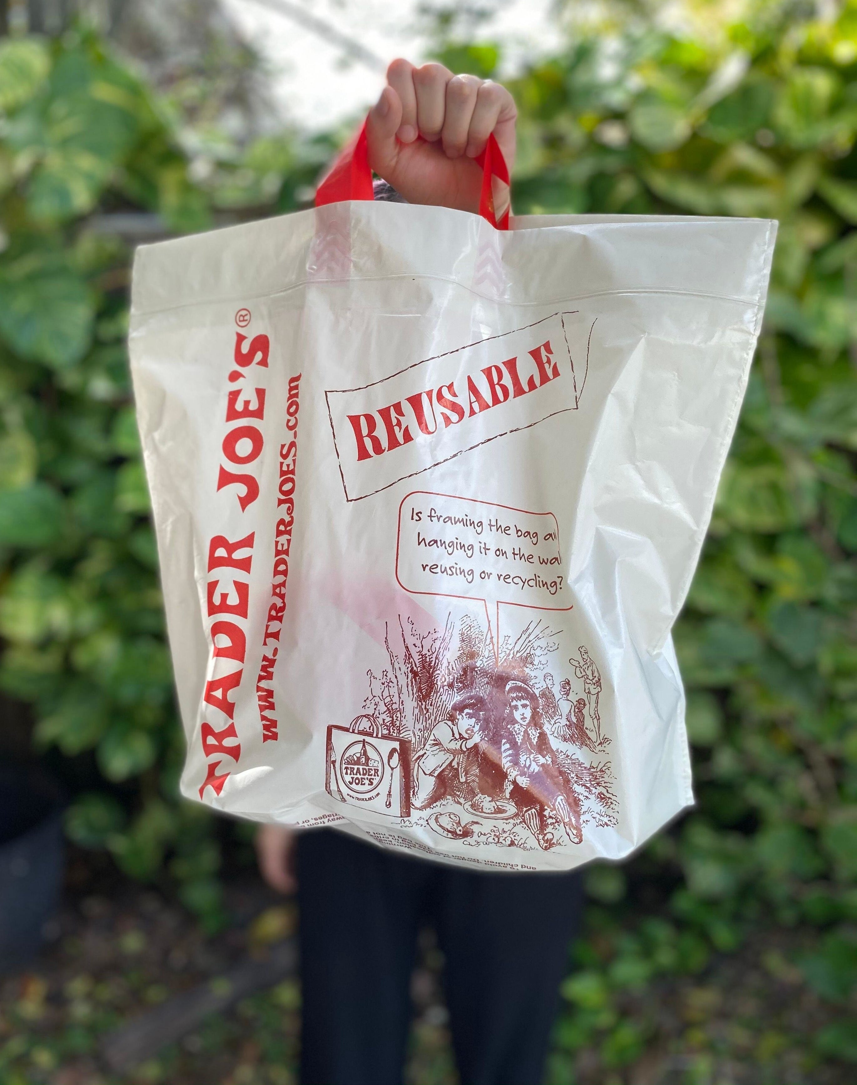 Someone holding a reusable Trader Joe's bag