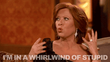 Caroline Manzo saying &quot;I&#x27;m in a whirlwind of stupid&quot;