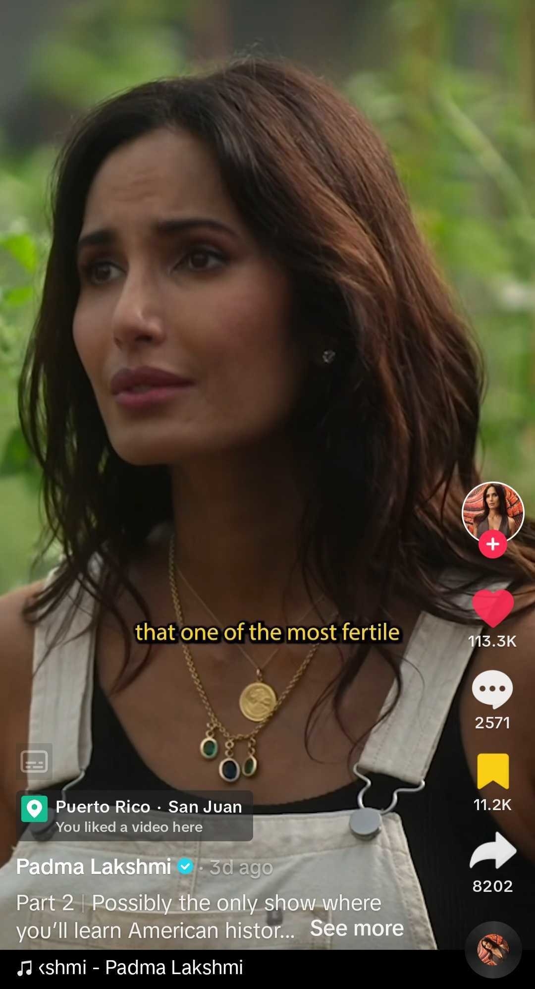 Close-up screenshot of Padma