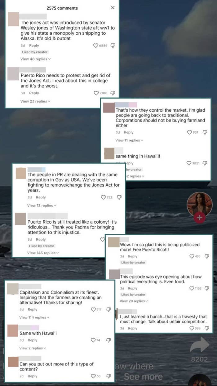 Screenshot of TikTik comments, including "Capitalism and Colonialism at its finest" and "I just learned a bunch; that is a travesty that must change"