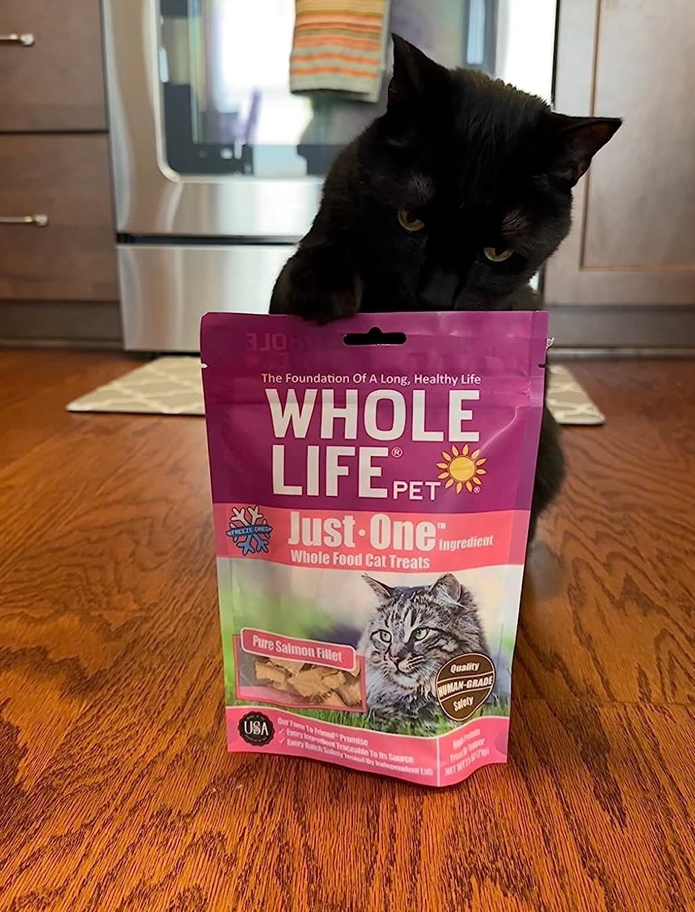 Image of cat with food bag