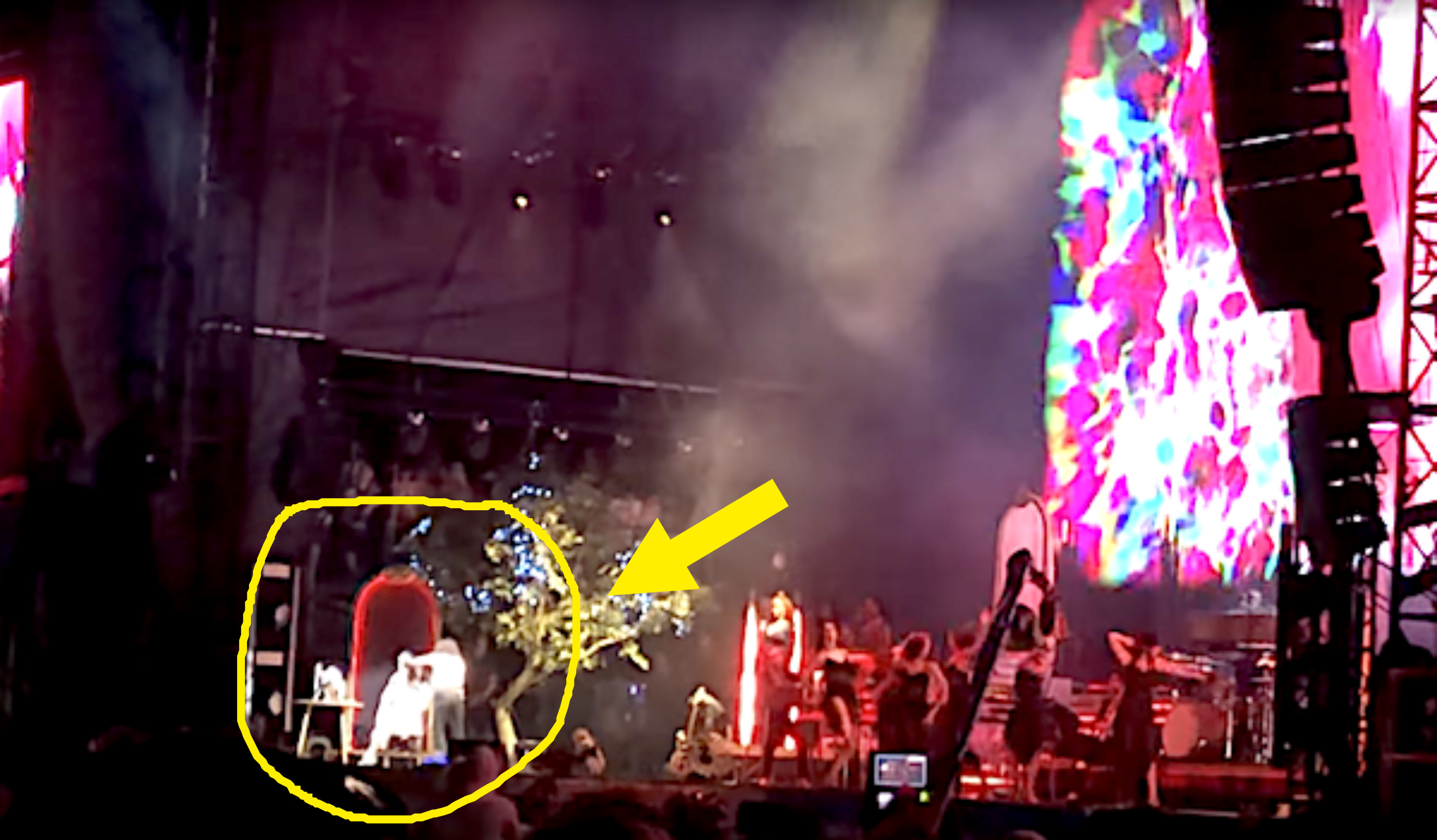Arrow pointing to Lana Del Rey onstage