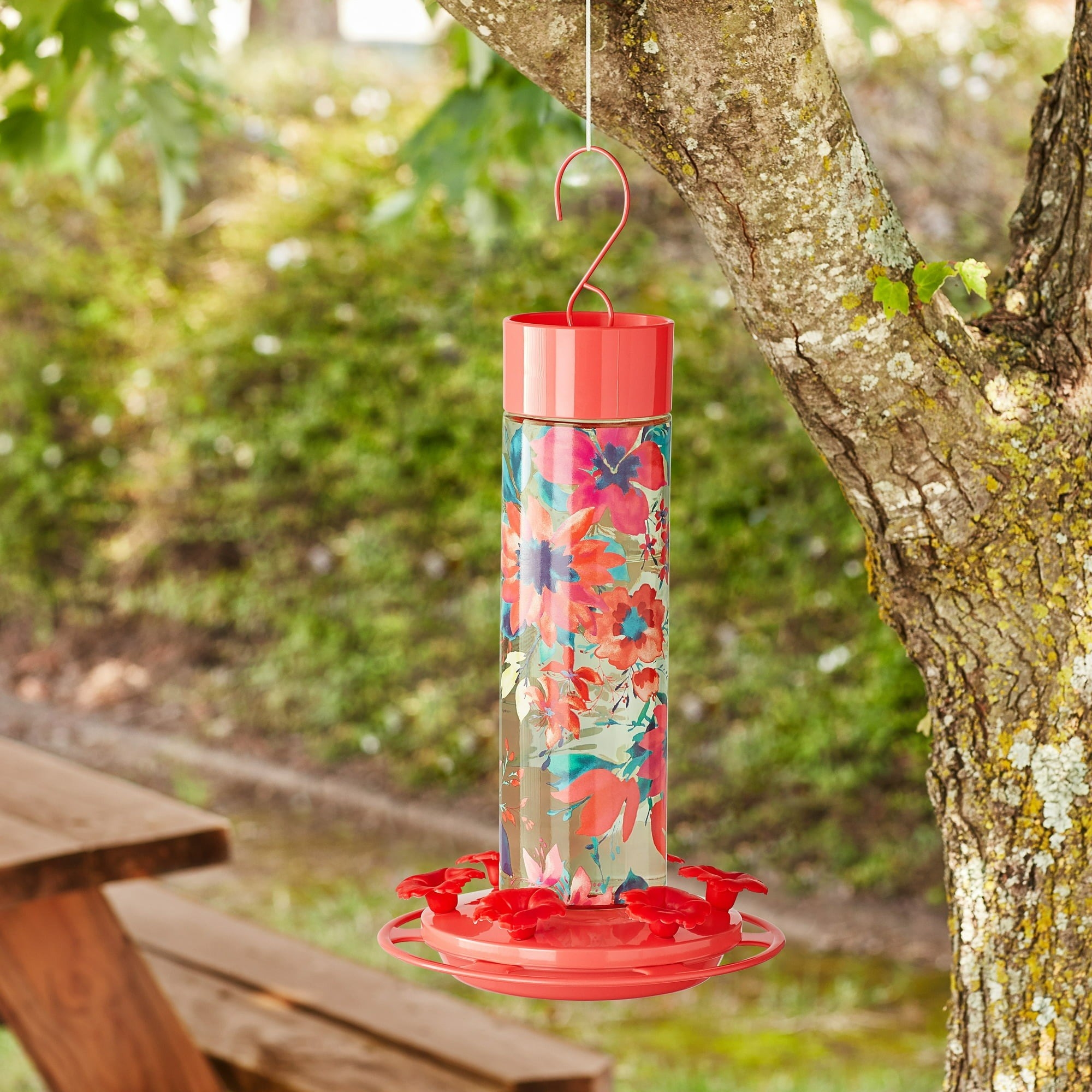 the bird feeder hanging from a tree